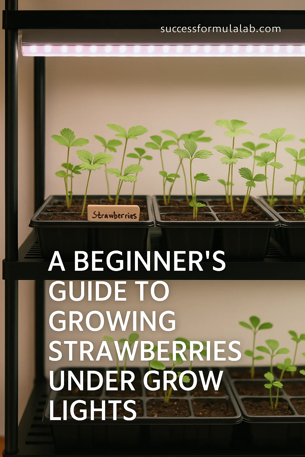 starting strawberry seeds indoors