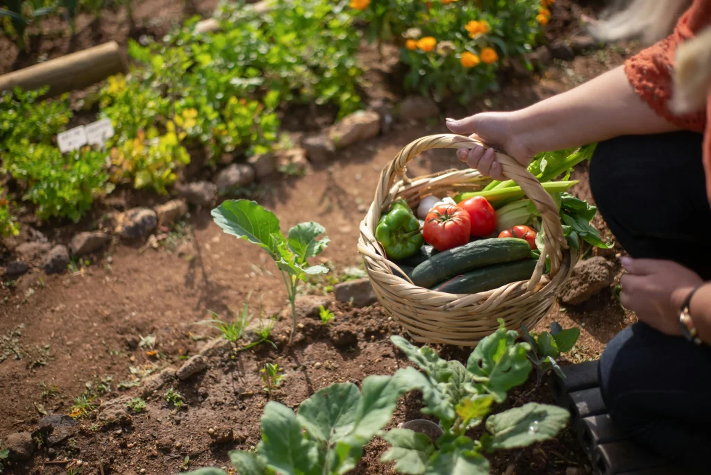 🛠️ Self-Sufficiency Skills: 7 Homesteading Skills to Master Before You ...