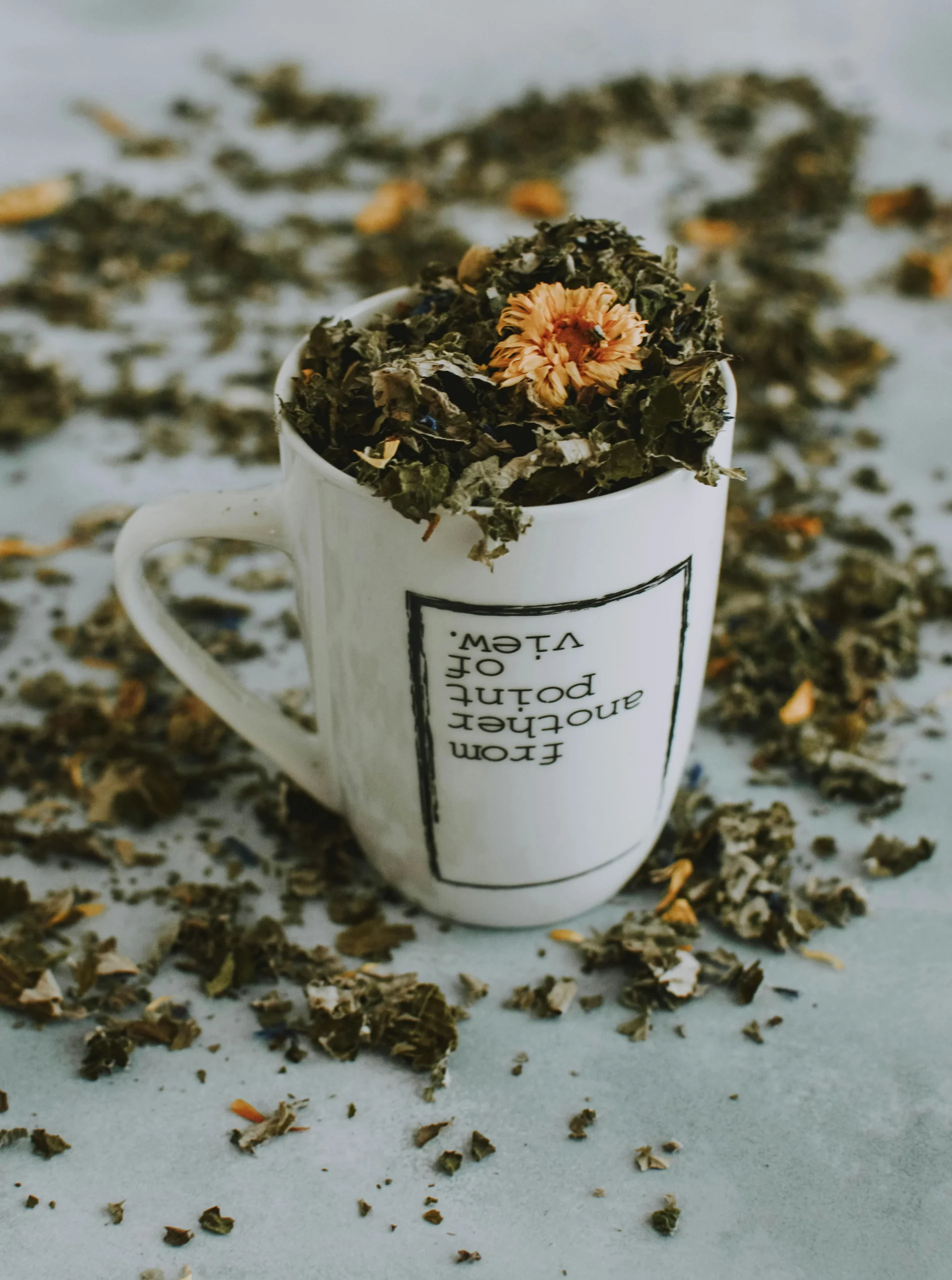 herbal parasite detox