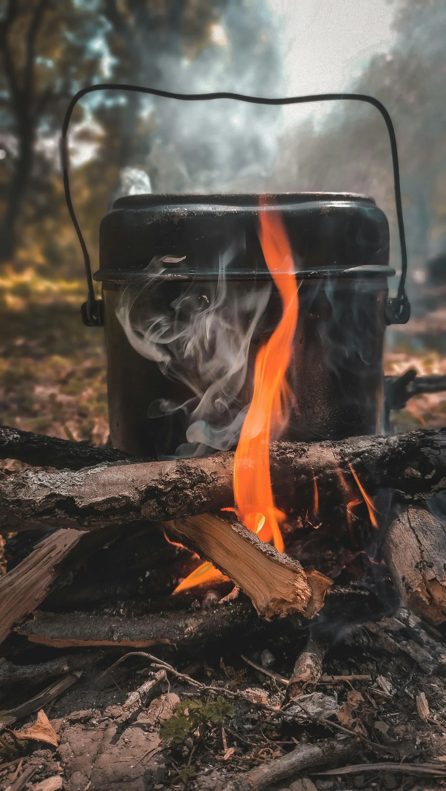 self-reliant living skills