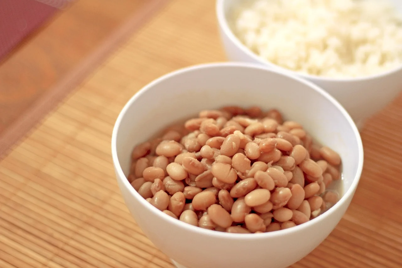 Best dry foods to store long-term in Mylar bags