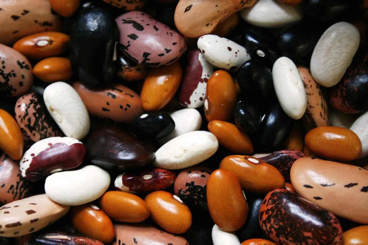 Dry goods for food storage