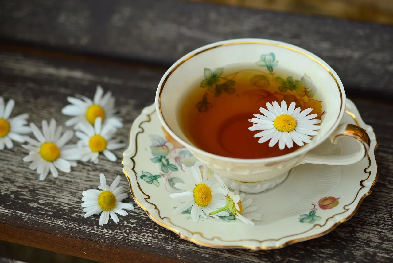 Grow medicinal herbs at home