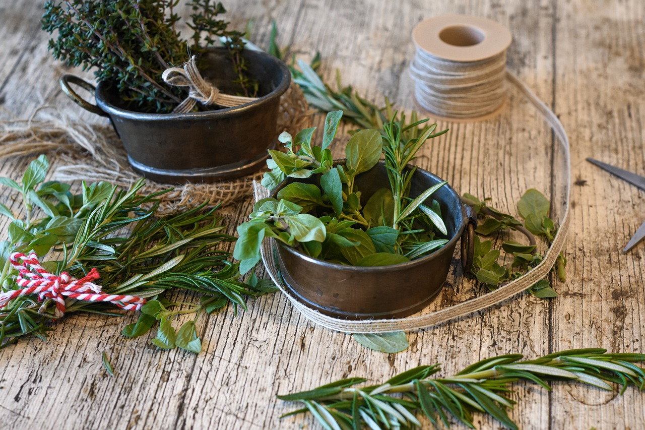 Grow your own herbal medicine cabinet