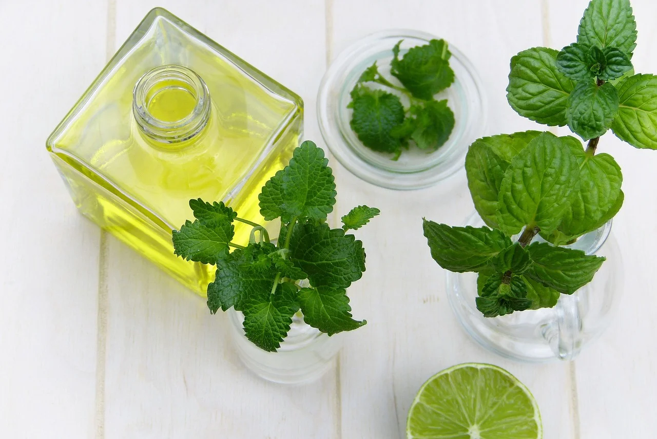 Lemon balm for anxiety