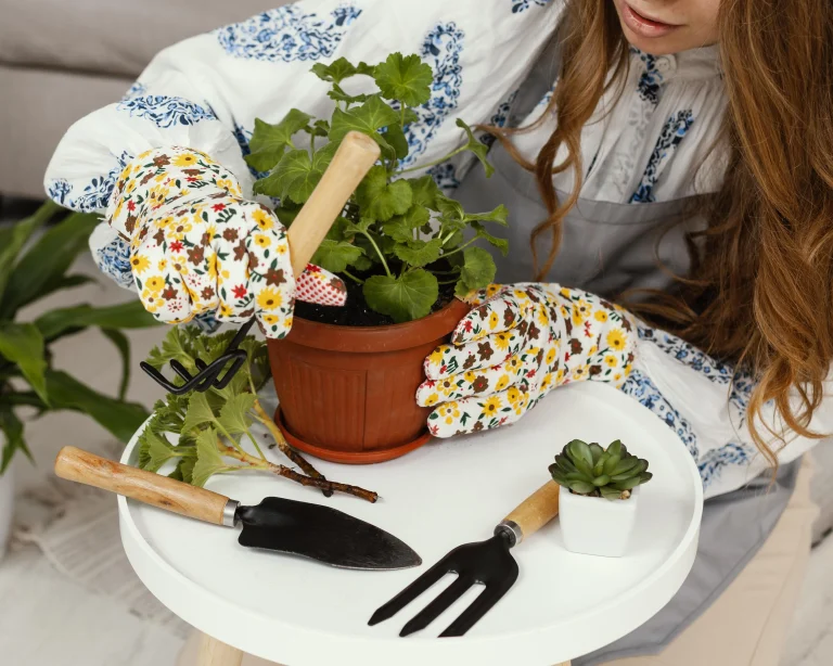 21+ Genius Low Budget Gardening Ideas