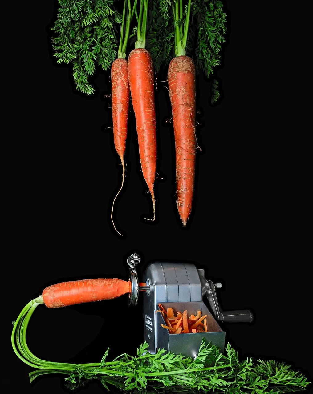 fertilizing carrots in containers