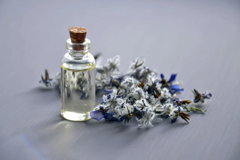 herbal remedies from Native tribes