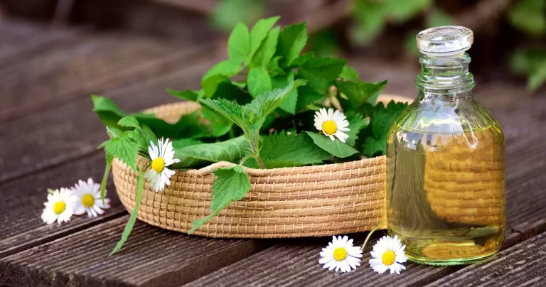 herbalism-recipes-for-healing-salves