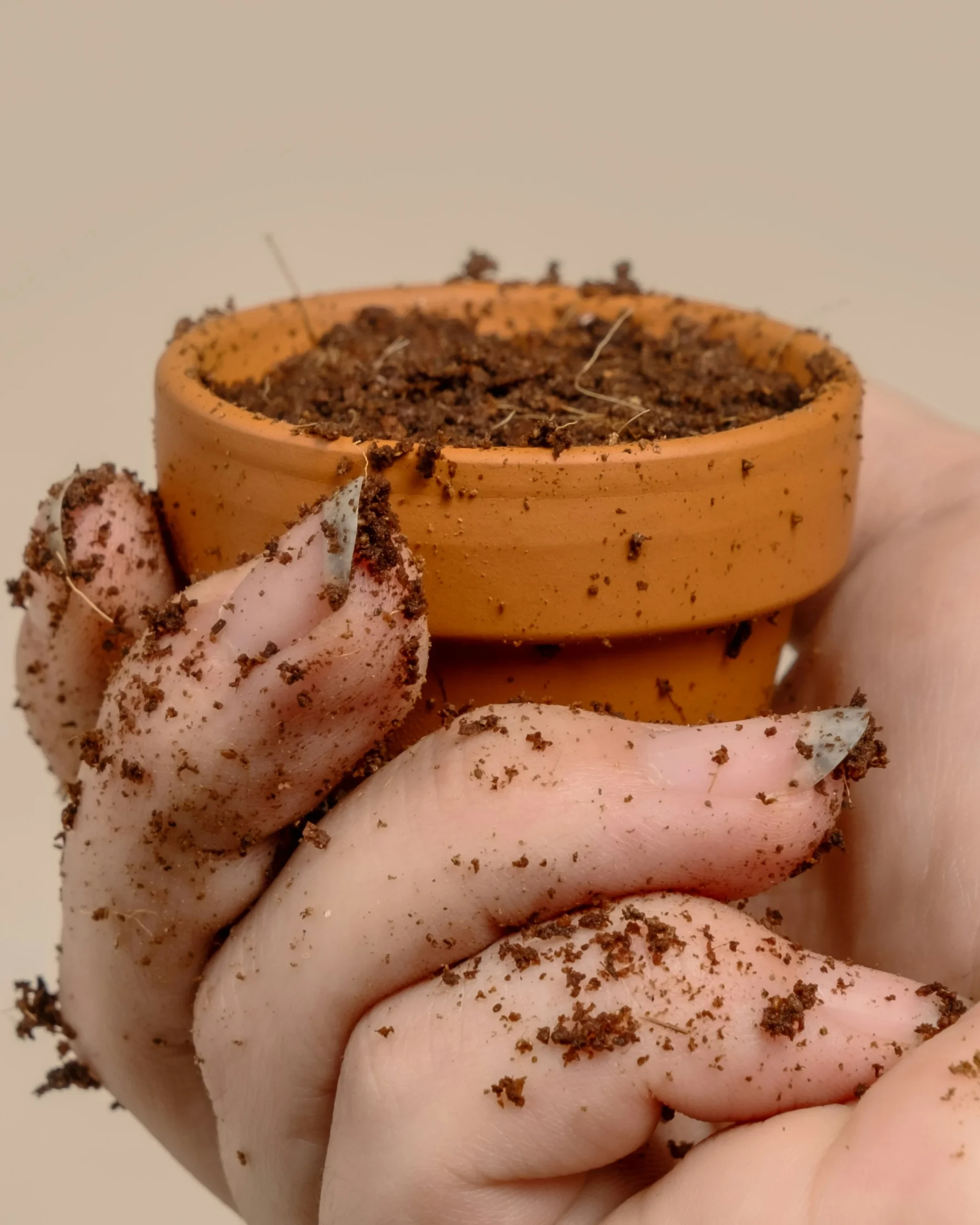 how to grow garlic in containers