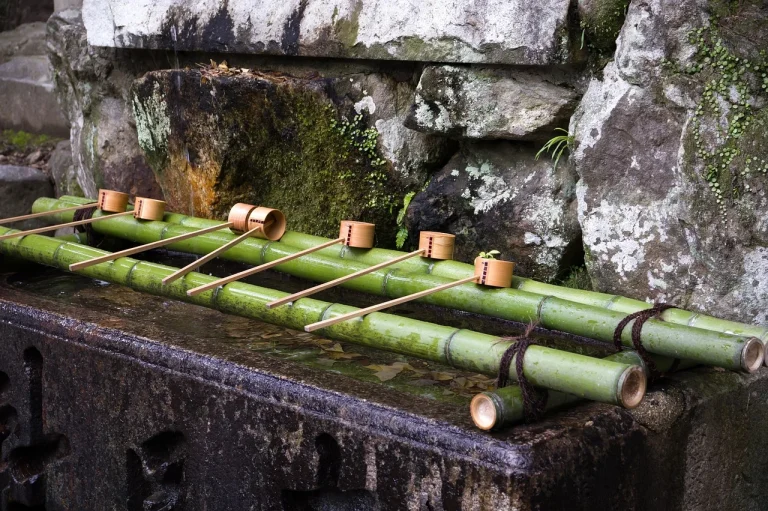 how to purify water off the grid