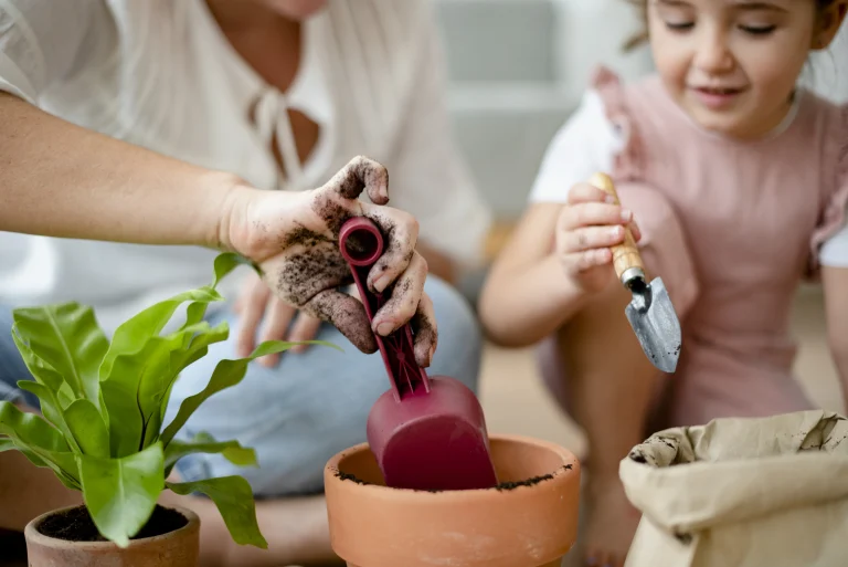 Homesteading for Beginners