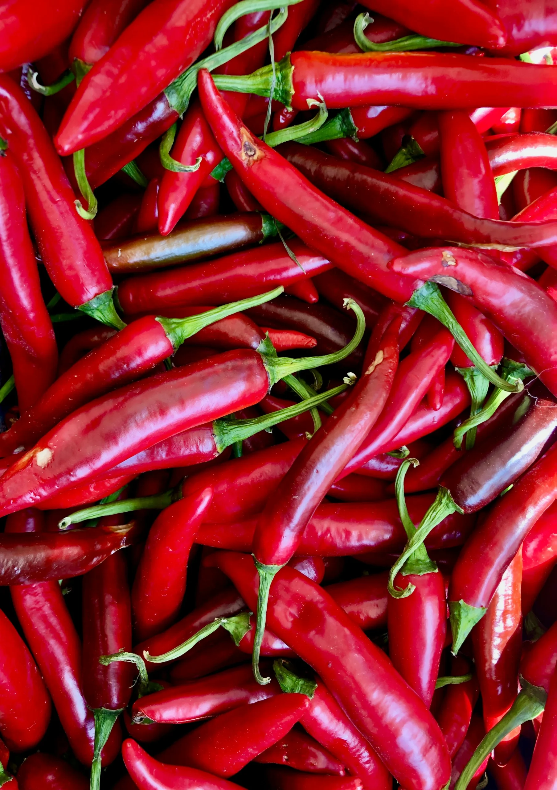 storing canned chili