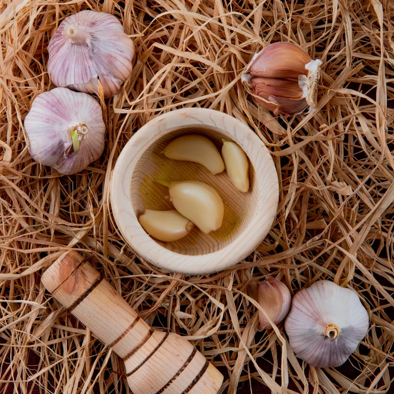 🧄 How to Grow Garlic