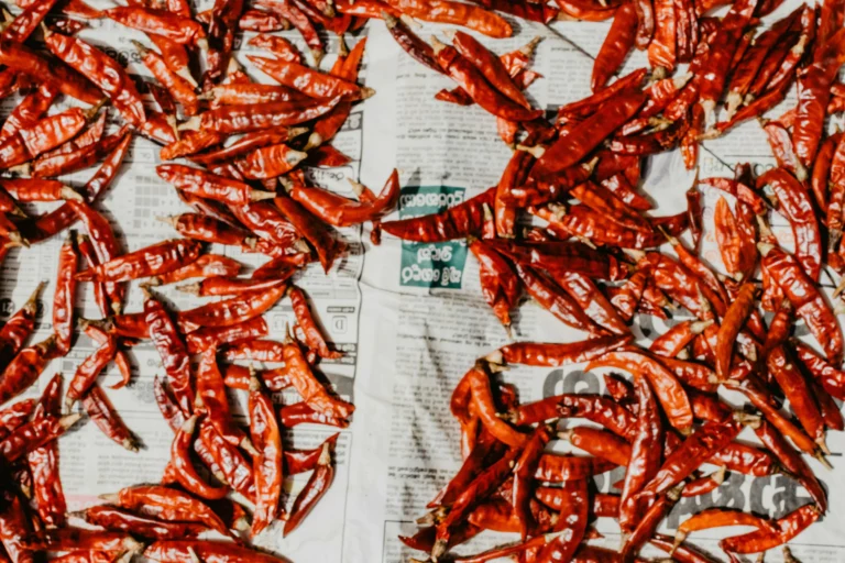 homemade chili powder mix