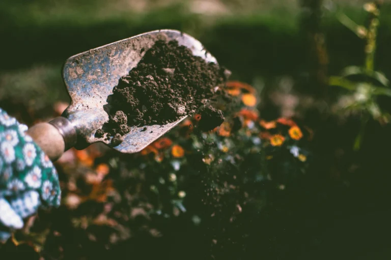 How to Make Money Gardening